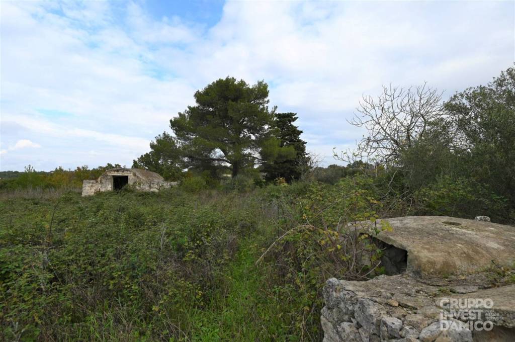 immagine annuncio 5 di 6