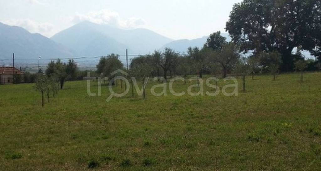 immagine annuncio 7 di 9