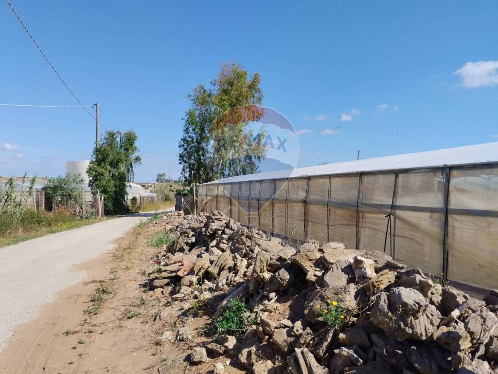 immagine annuncio 4 di 13