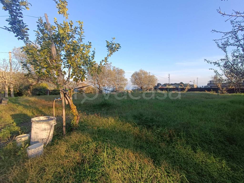 immagine annuncio 4 di 13