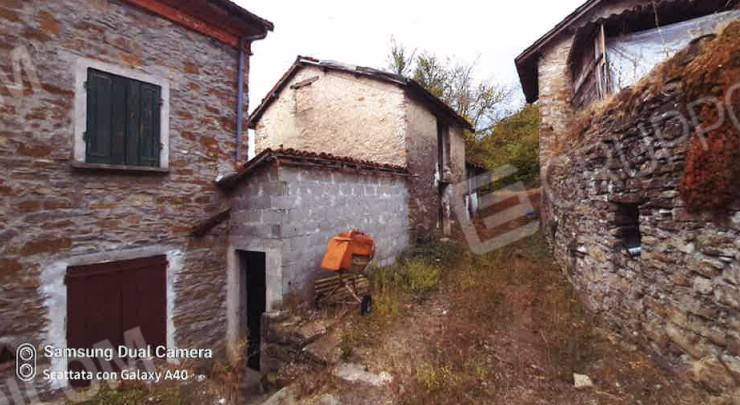 immagine annuncio 3 di 14