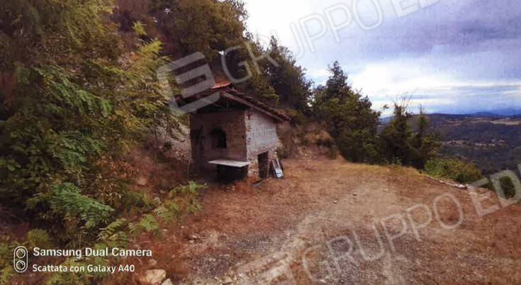 immagine annuncio 4 di 14