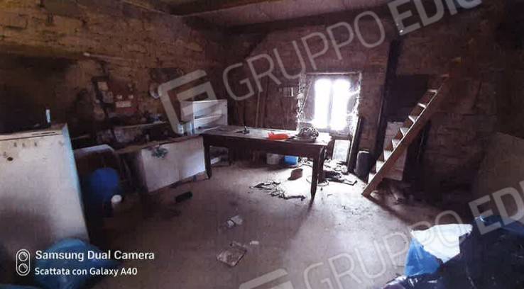 immagine annuncio 8 di 14