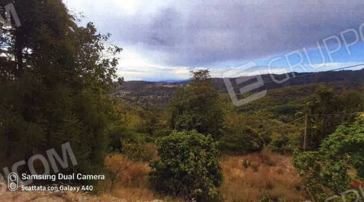 immagine annuncio 11 di 14