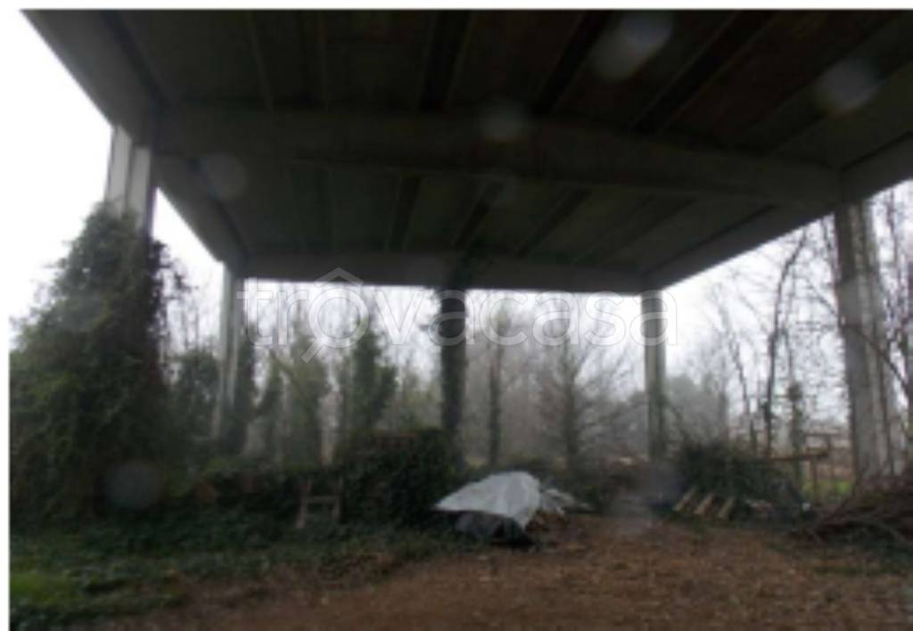 immagine annuncio 5 di 9