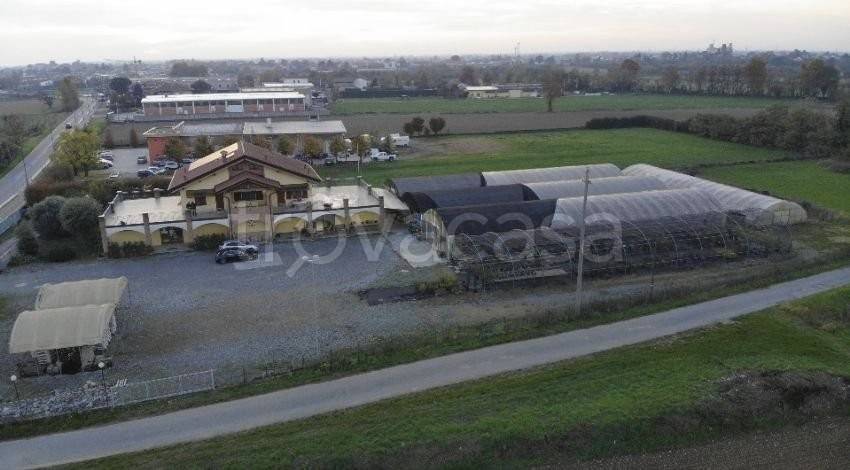 immagine annuncio 1 di 6