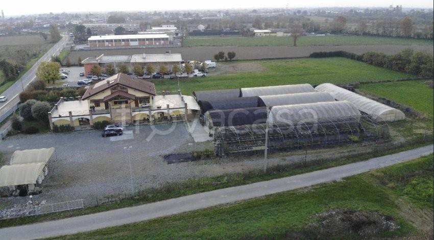 immagine annuncio 2 di 6