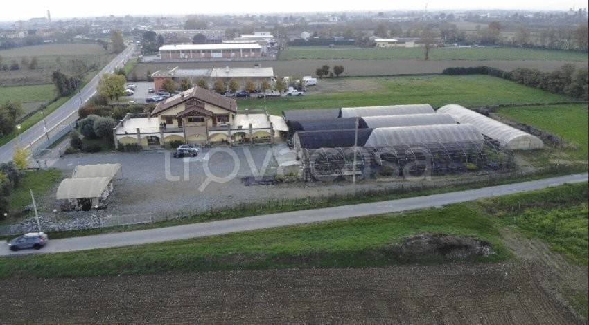 immagine annuncio 3 di 6