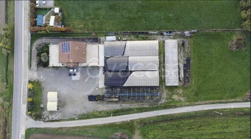 immagine annuncio 4 di 6