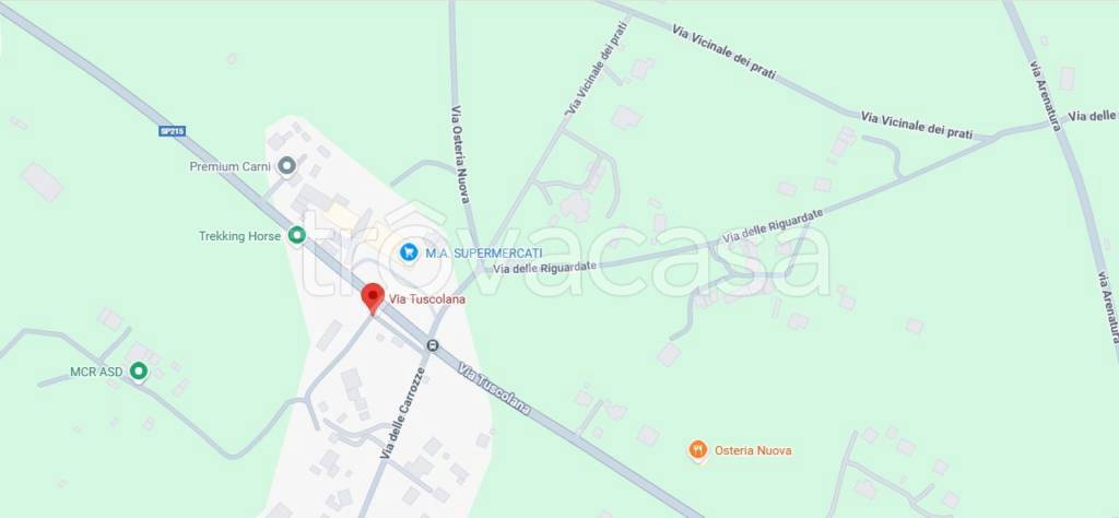 immagine annuncio 2 di 13