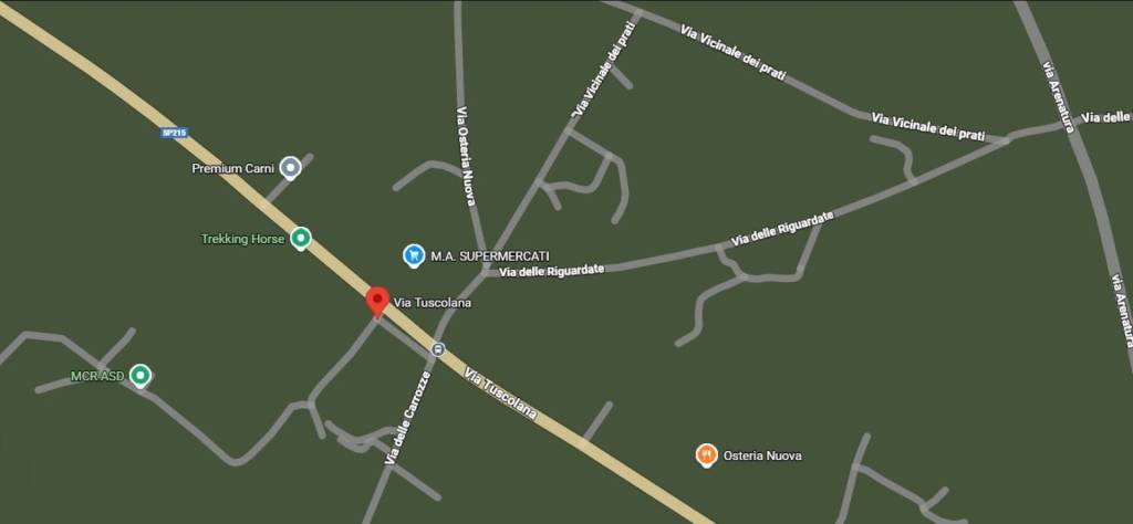 immagine annuncio 3 di 13