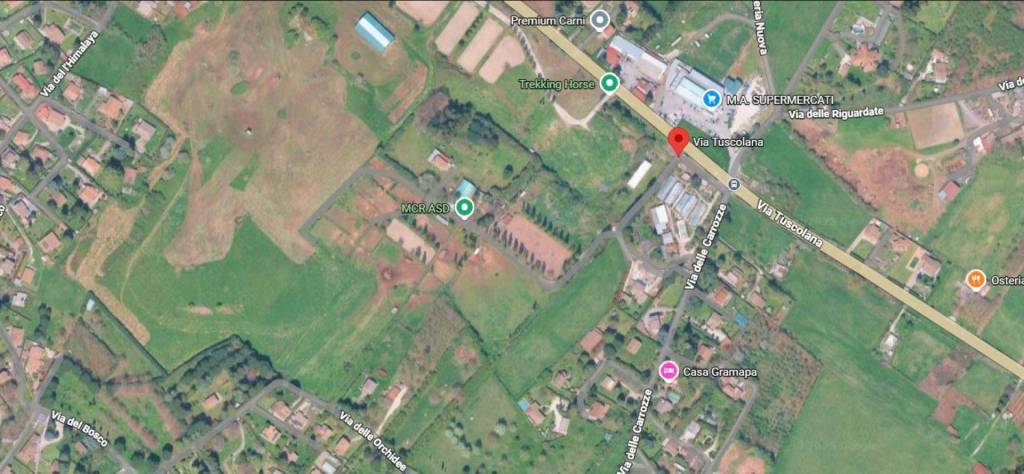 immagine annuncio 5 di 13