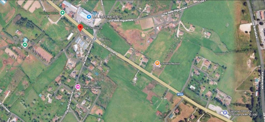 immagine annuncio 6 di 13