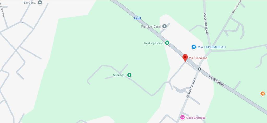 immagine annuncio 10 di 13