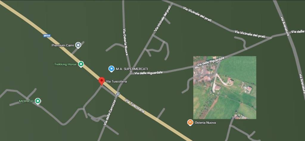 immagine annuncio 12 di 13