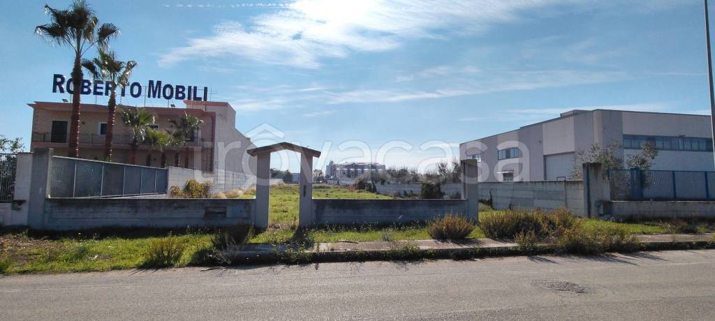 immagine annuncio 2 di 8