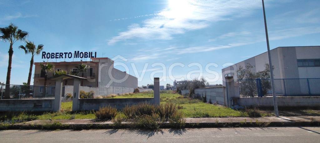 immagine annuncio 3 di 8