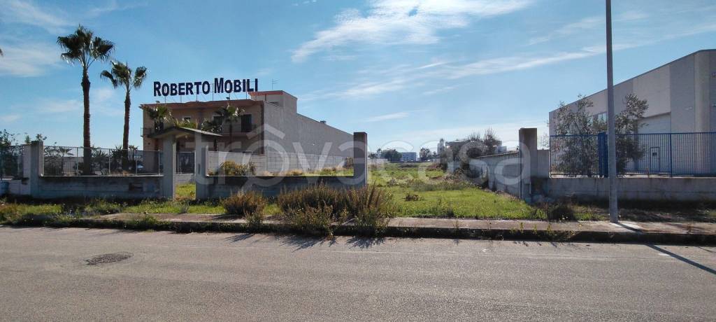 immagine annuncio 4 di 8