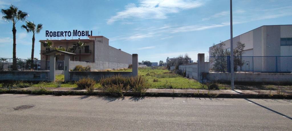 immagine annuncio 5 di 8