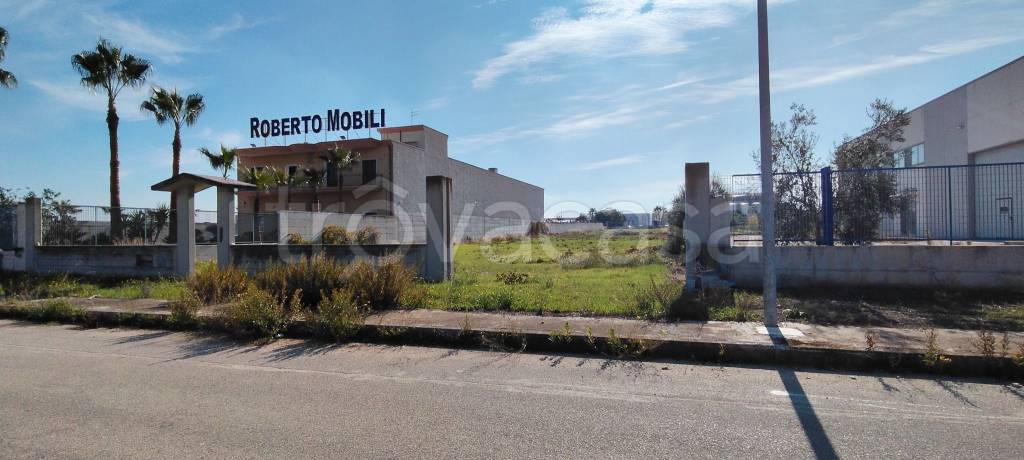 immagine annuncio 6 di 8