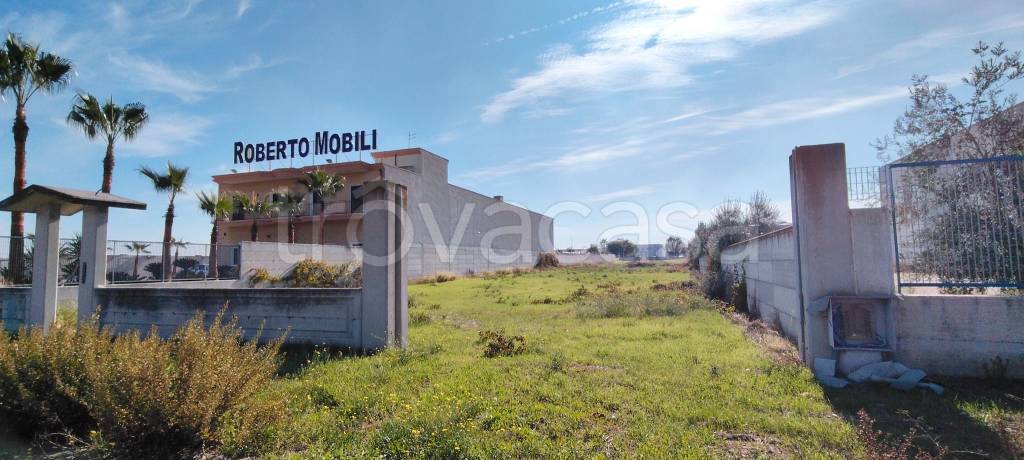 immagine annuncio 7 di 8