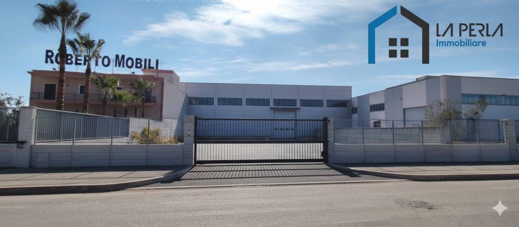 immagine annuncio 1 di 8