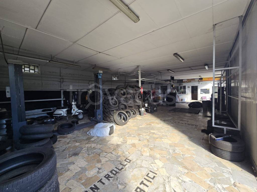 immagine annuncio 11 di 15