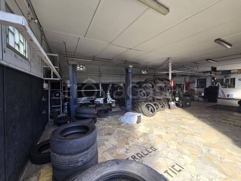 immagine annuncio 12 di 15