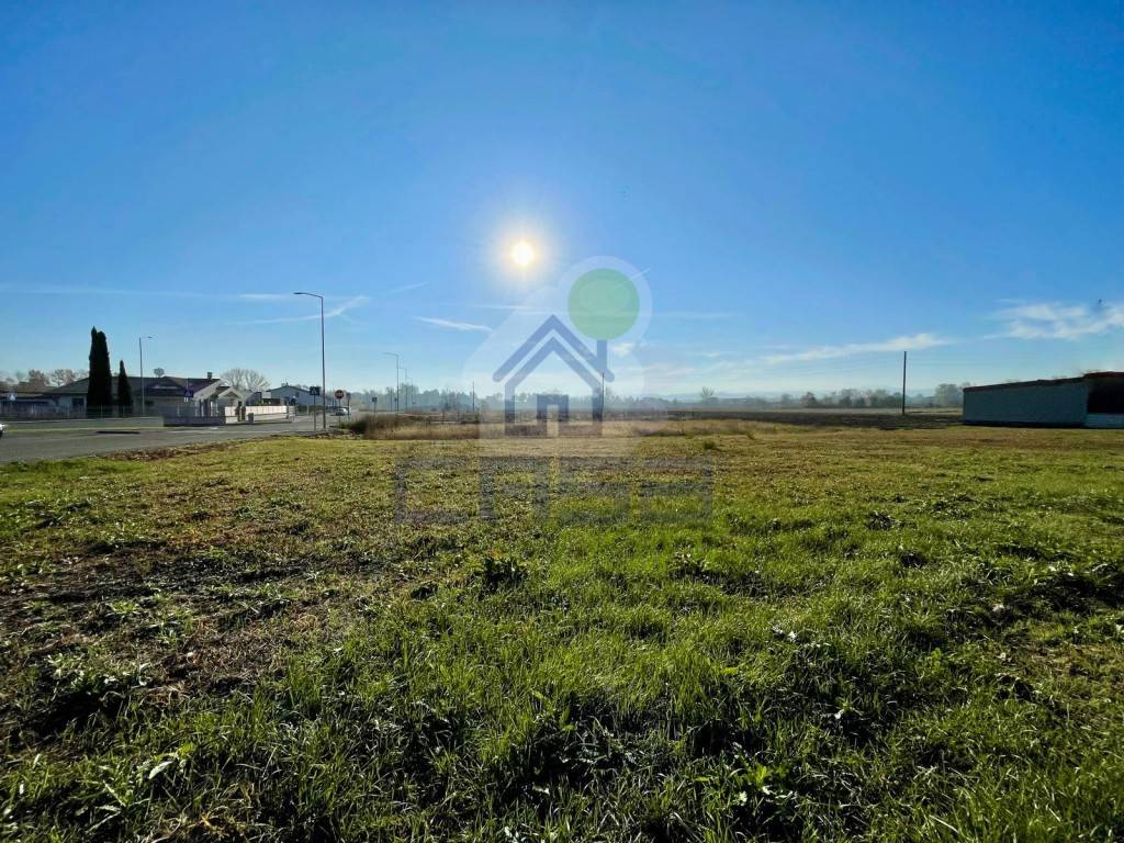 immagine annuncio 2 di 8