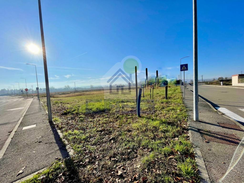 immagine annuncio 3 di 8