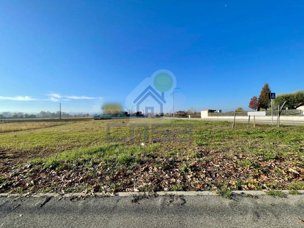 immagine annuncio 4 di 8