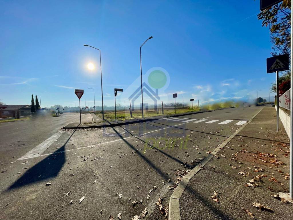 immagine annuncio 5 di 8