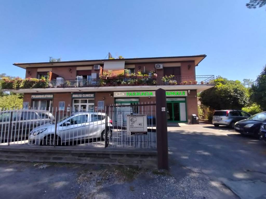 immagine annuncio 1 di 14