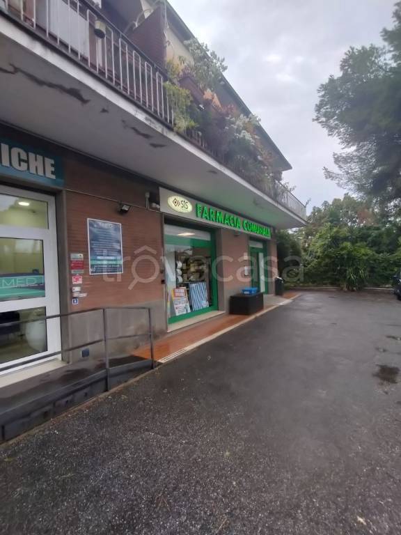 immagine annuncio 11 di 14