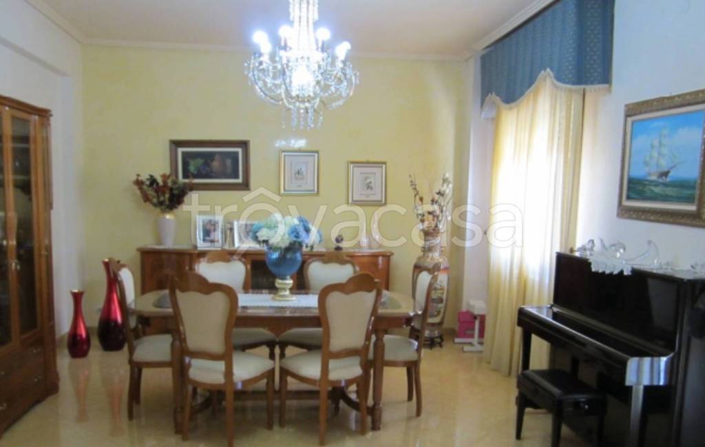 immagine annuncio 9 di 14