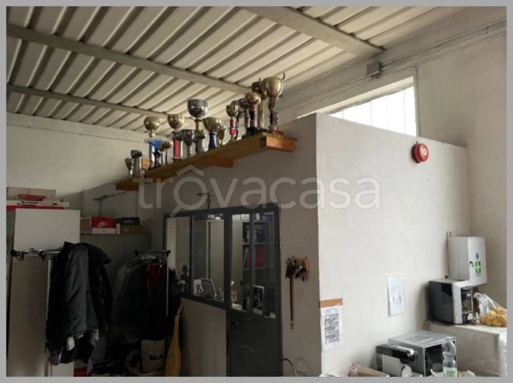 immagine annuncio 14 di 15