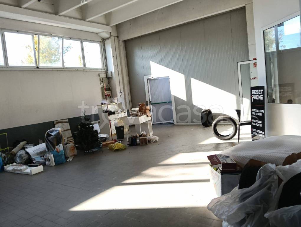 immagine annuncio 1 di 11