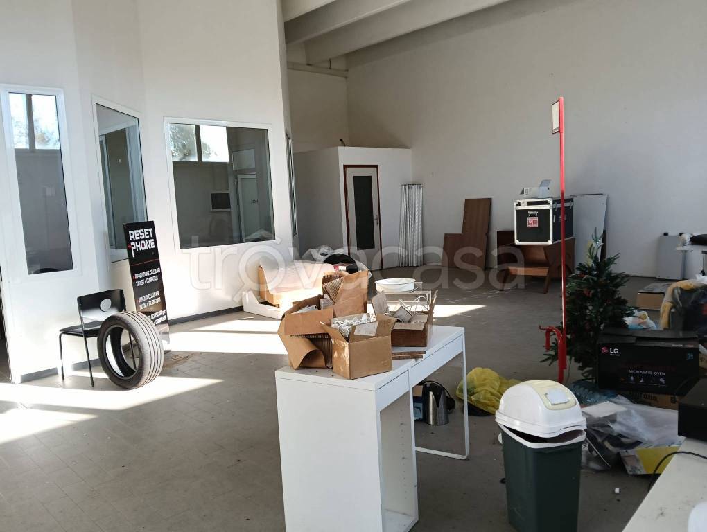 immagine annuncio 3 di 11