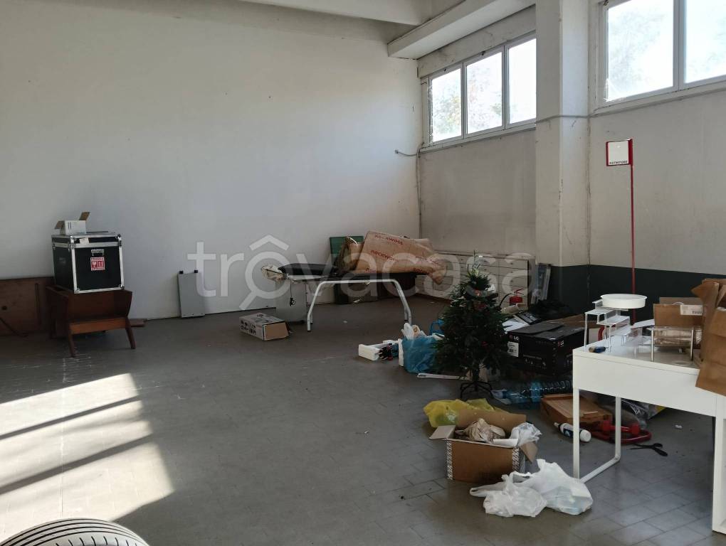 immagine annuncio 4 di 11