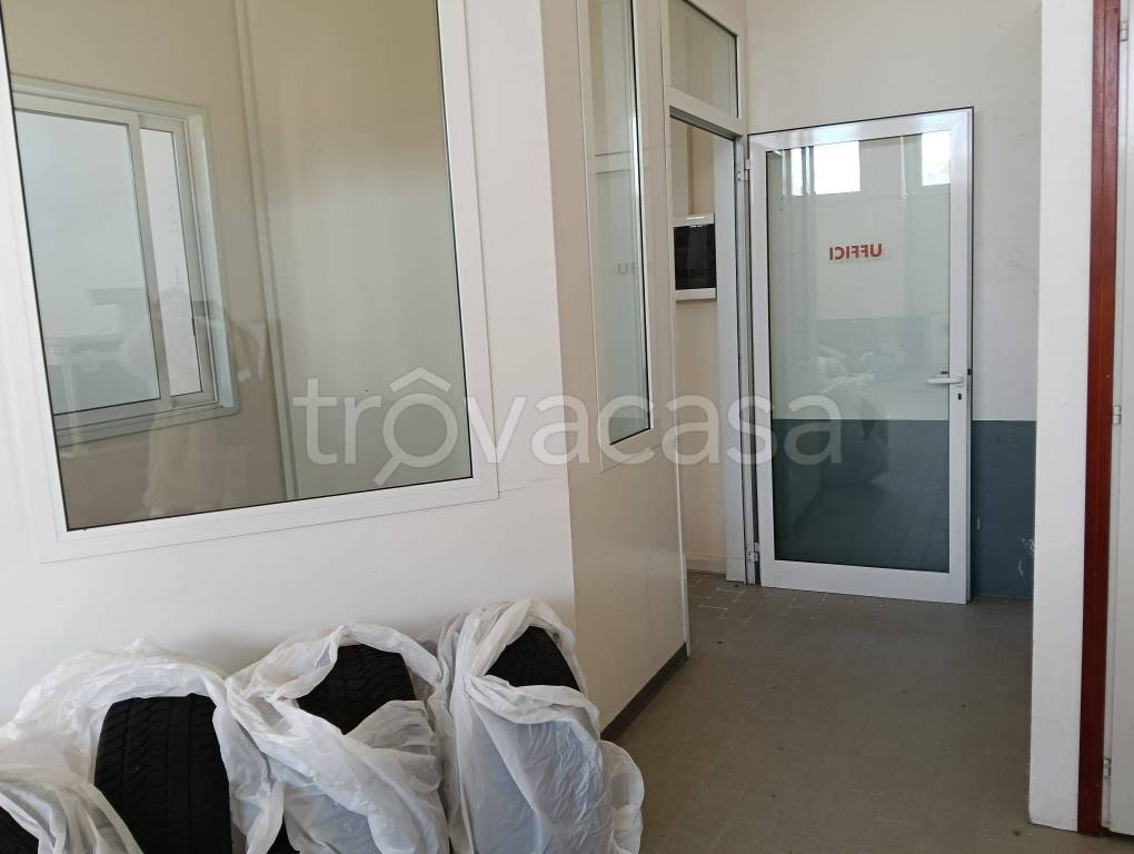 immagine annuncio 5 di 11