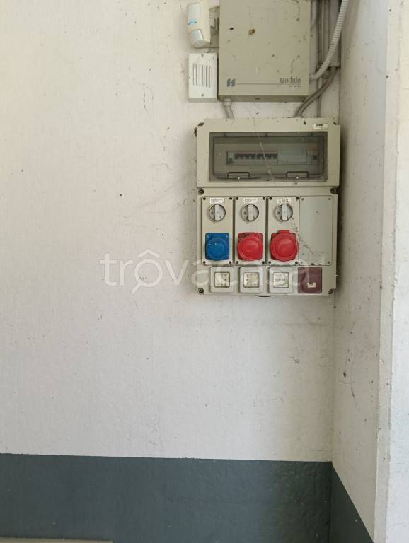 immagine annuncio 9 di 11