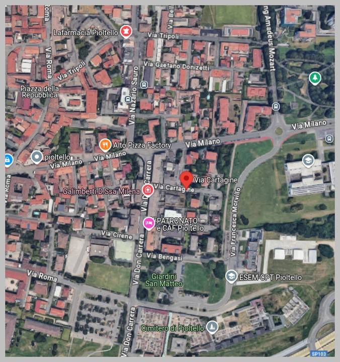 immagine annuncio 12 di 15