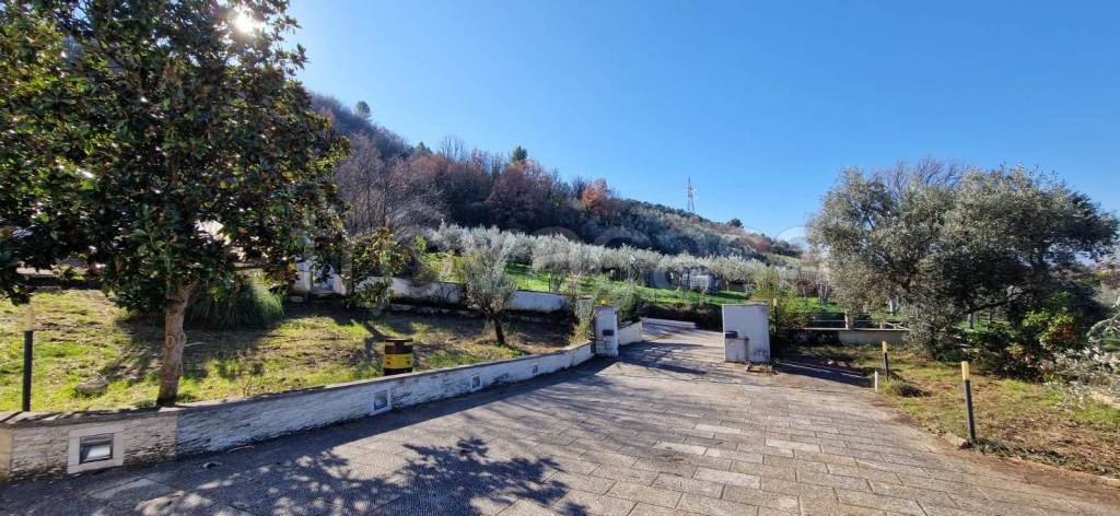 immagine annuncio 5 di 9