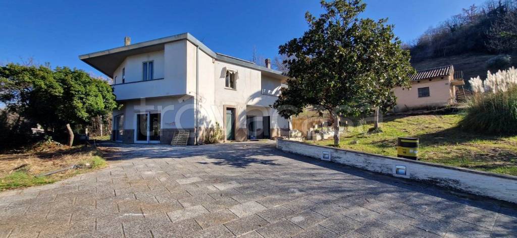 immagine annuncio 7 di 9