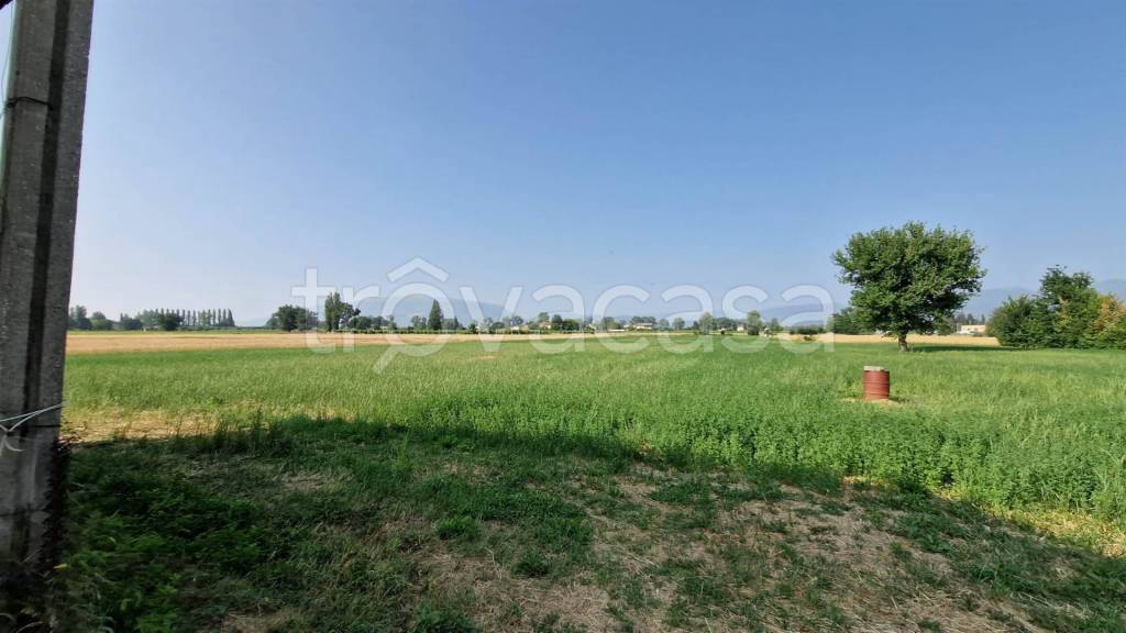 immagine annuncio 4 di 11