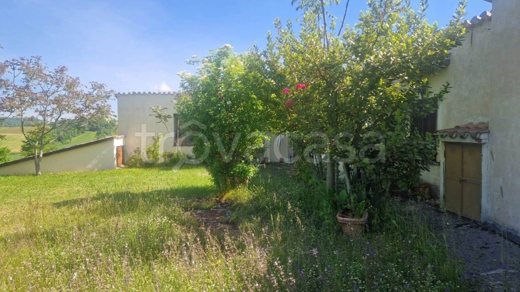 immagine annuncio 2 di 7