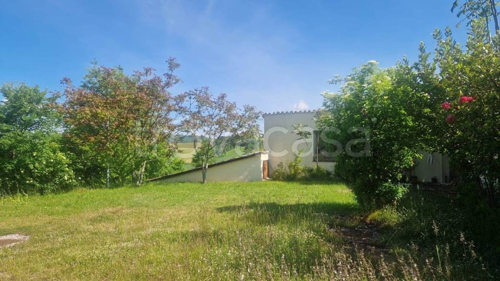 immagine annuncio 6 di 7