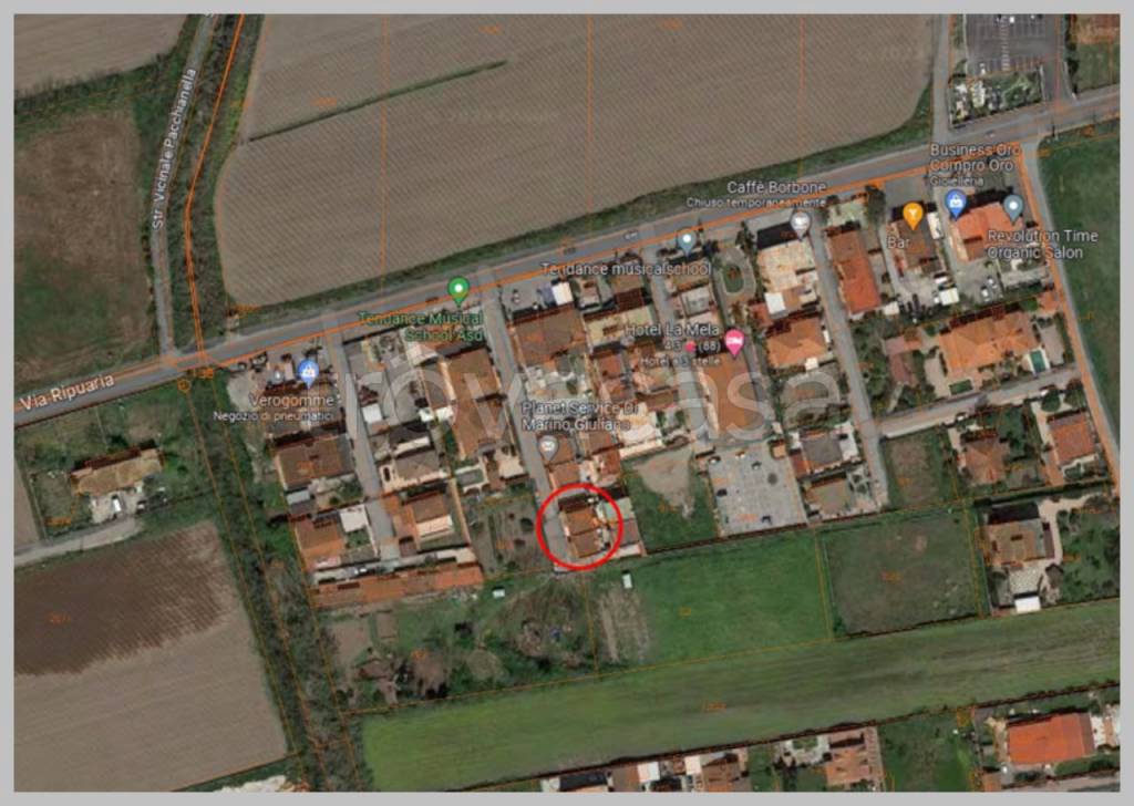 immagine annuncio 12 di 15