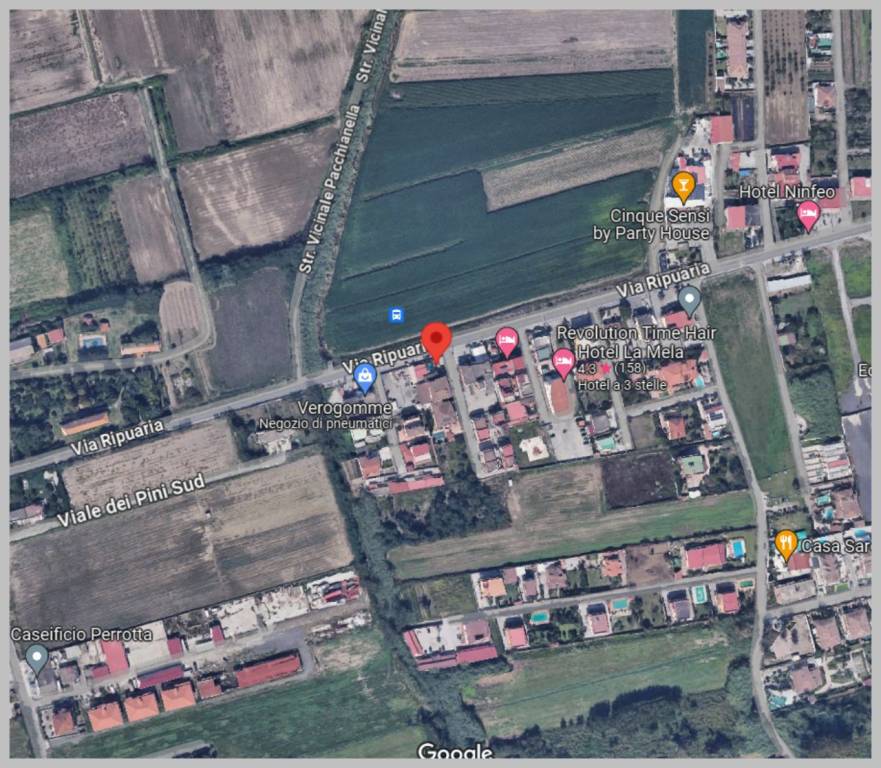 immagine annuncio 9 di 15