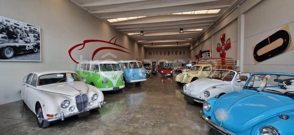 immagine annuncio 1 di 8